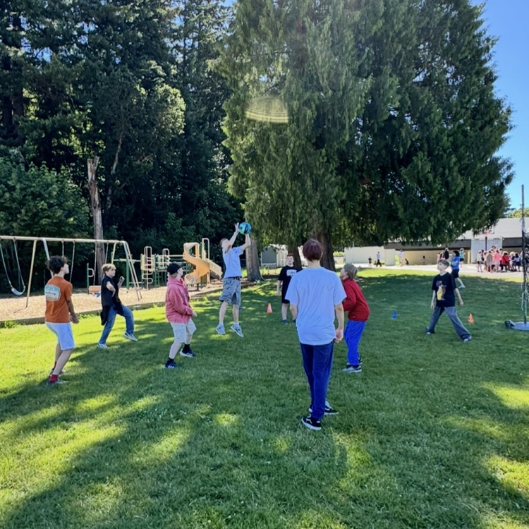 field day