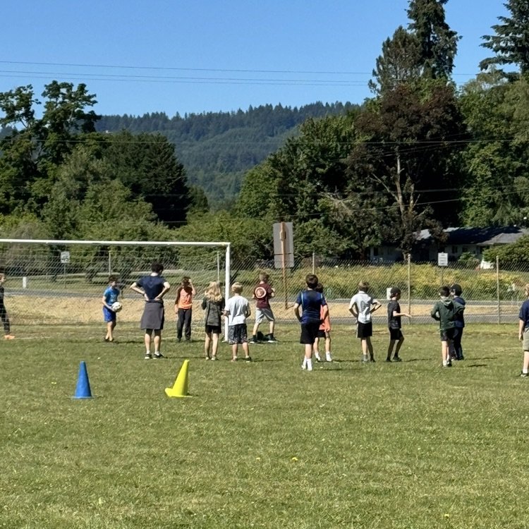 field day