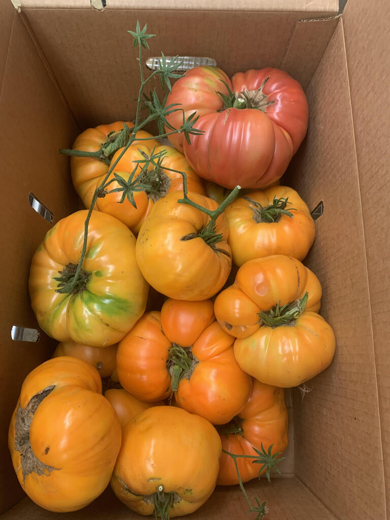 veggies
