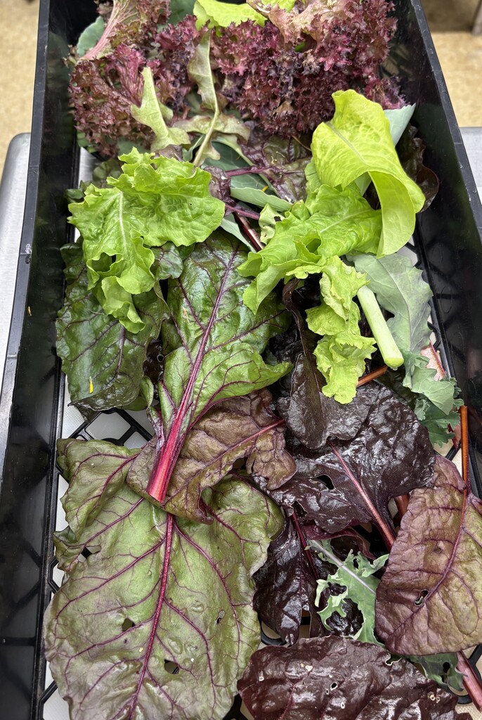 veggies