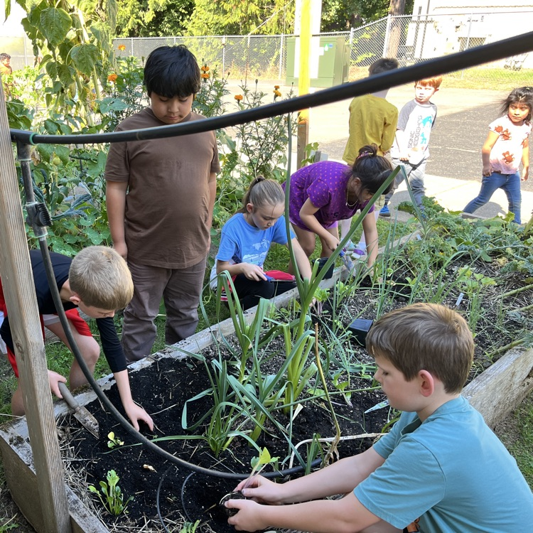 garden