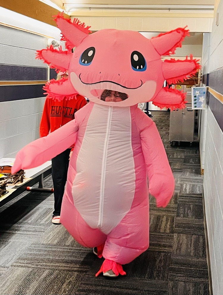 parade of costumes