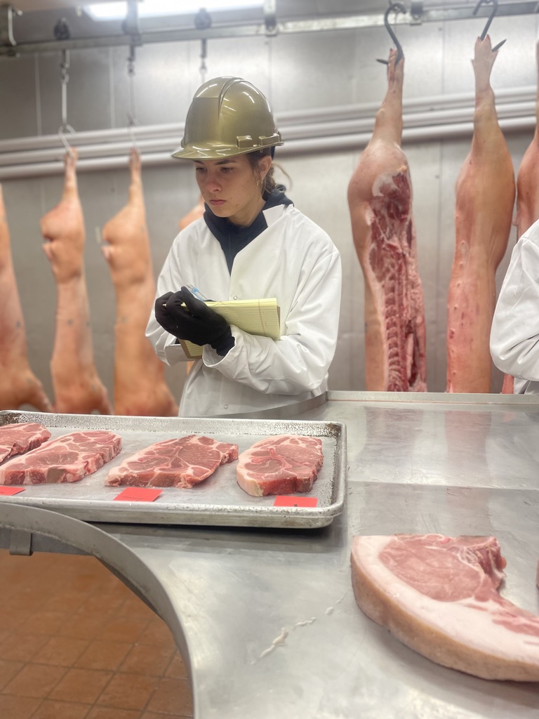 Student in white coat studies pork cuts on a tray while taking notes beside hanging pork carcasses.