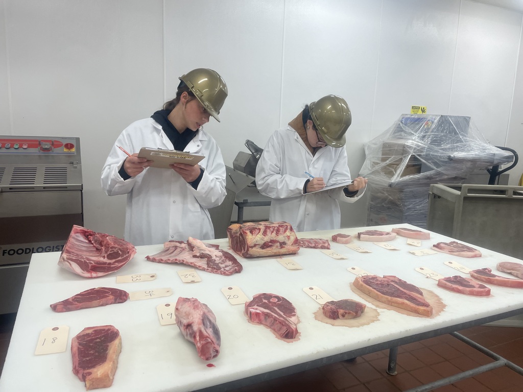 Two students in lab coats assess labeled beef and pork cuts on a table and write observations.