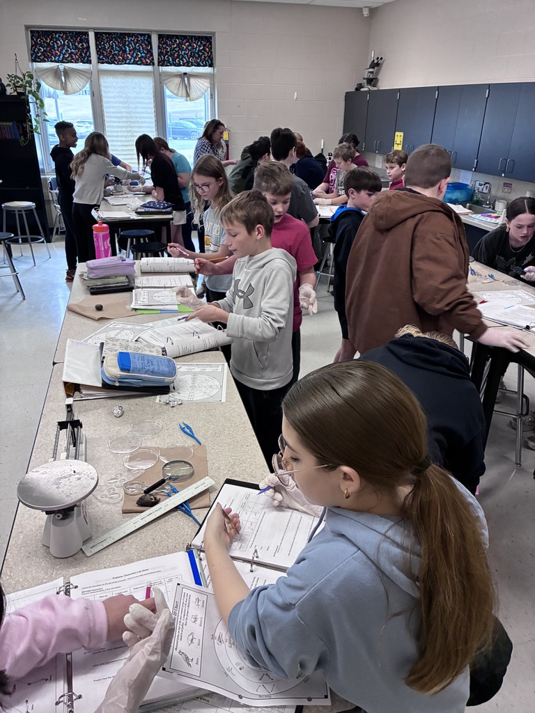 Wide view of a busy science classroom with multiple groups of students conducting hands-on lab activities at tables.