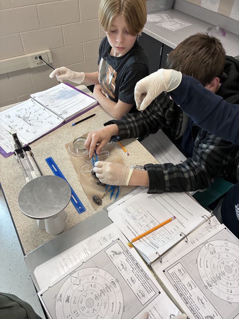 A group of students collaborates at a lab table, using tools and containers to analyze samples during a science lesson.