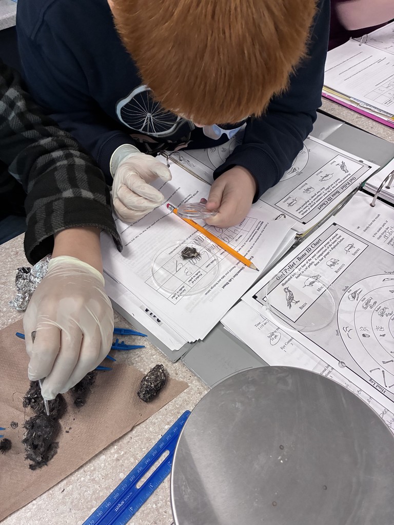 A student wearing gloves closely examines a sample with tweezers over a worksheet during a science lab activity.