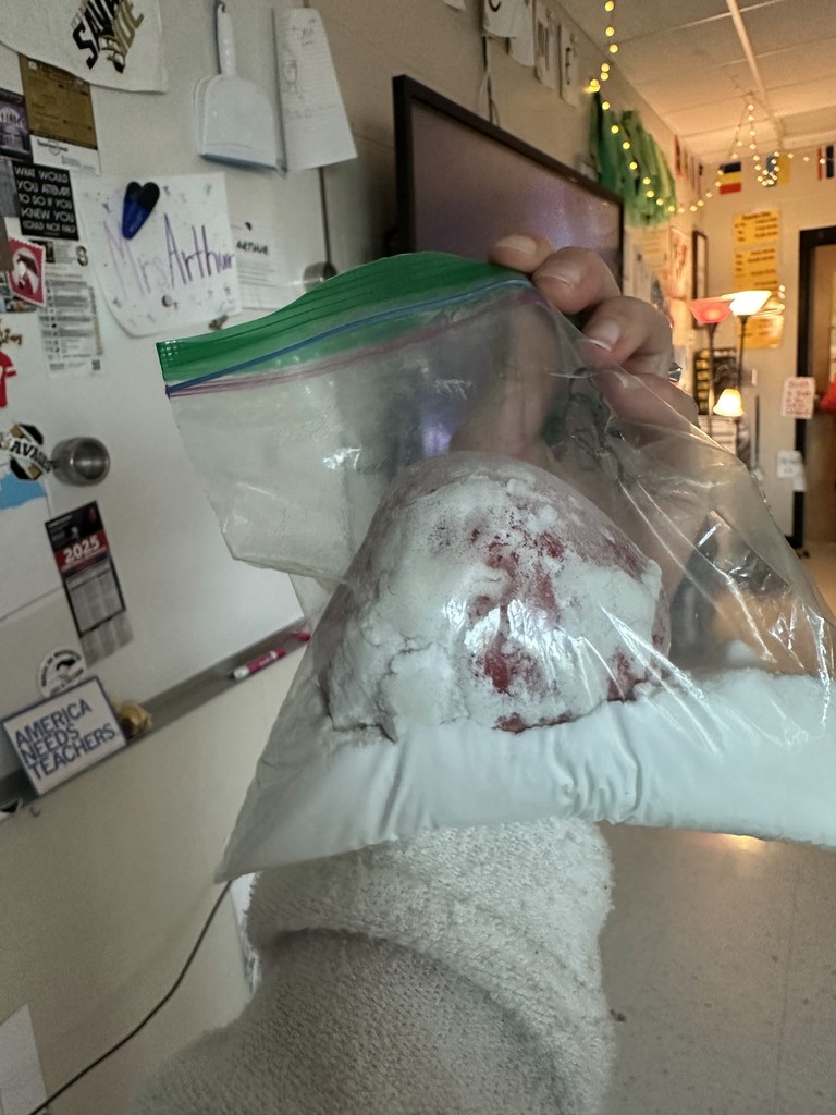 A hand holding a sealed plastic bag with a carved apple covered in white powder as part of a mummification experiment.