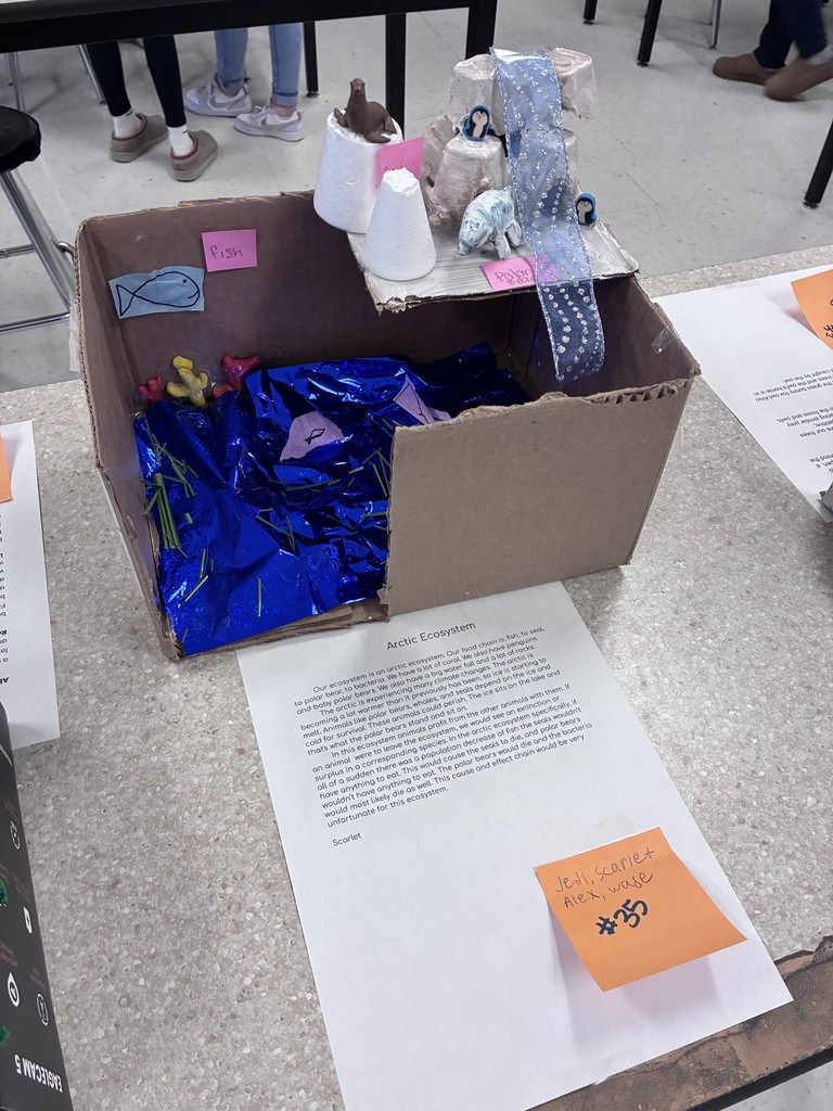 Artic biome project and essay