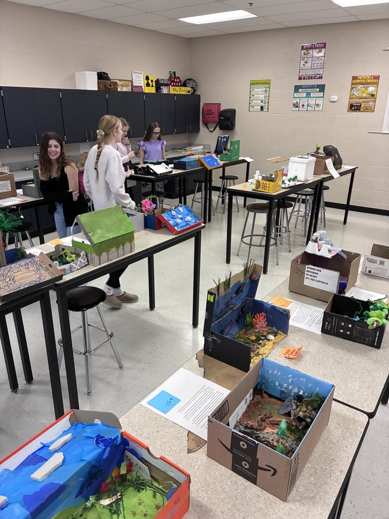 Sixth grade students display handmade ecosystem dioramas during a classroom gallery walk. Projects include rainforest, arctic, coastal, and woodland biomes with written essays explaining ecological relationships.
