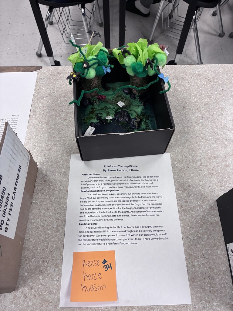 rainforest/swamp  biome project and essay