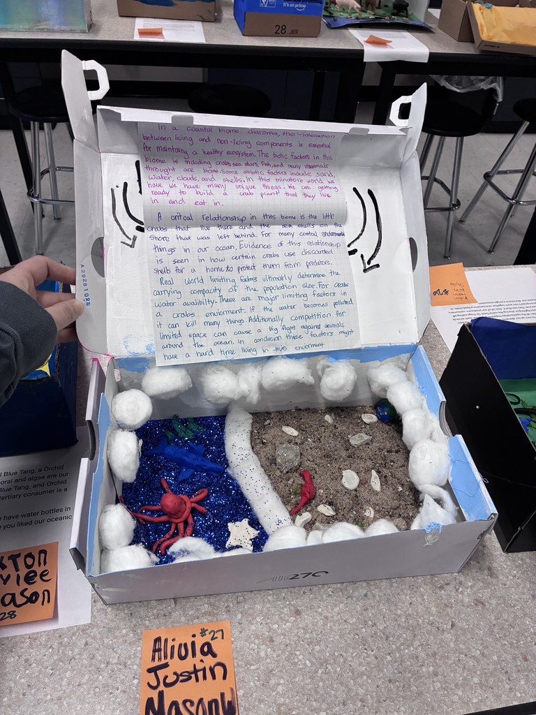 costal biome project and essay