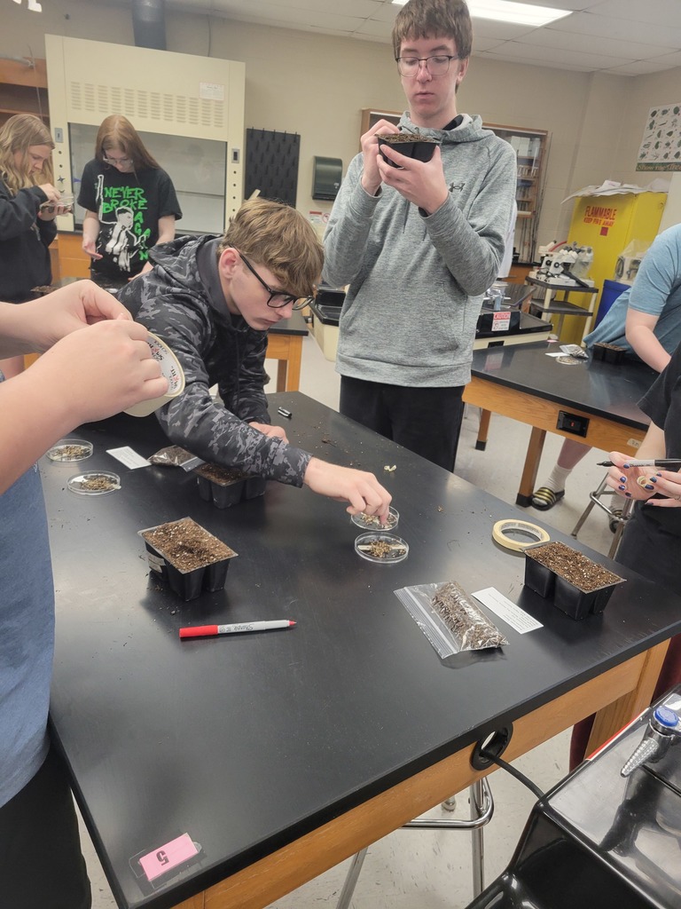 Students work together in a science classroom to sort and plant prairie seeds in trays and petri dishes during a hands-on lab.