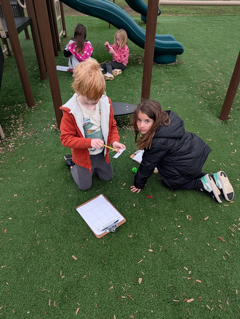 Students spread across the playground, opening eggs and recording math answers on clipboards during an outdoor lesson.