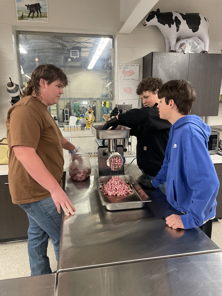 Three students use a meat grinder in an Animal and Food Science classroom, grinding pork into a metal tray on a stainless steel table.