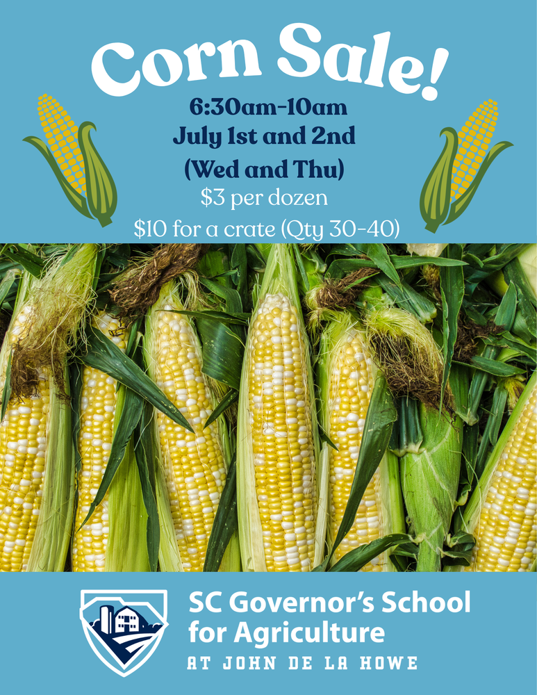 corn