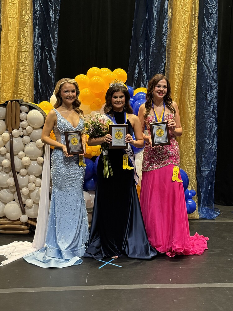 miss ffa