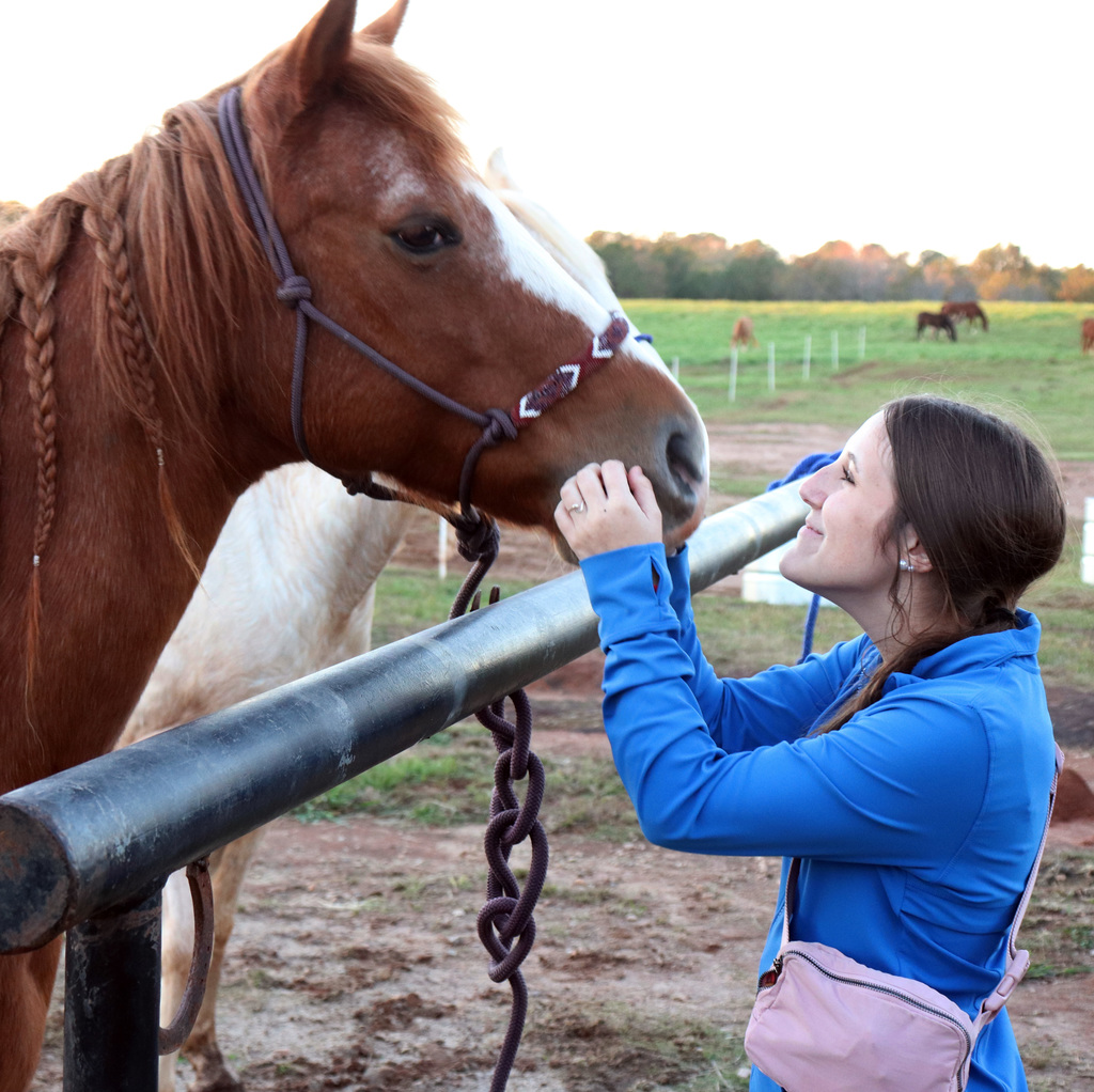 The visiting students stopped by our Equine Center.