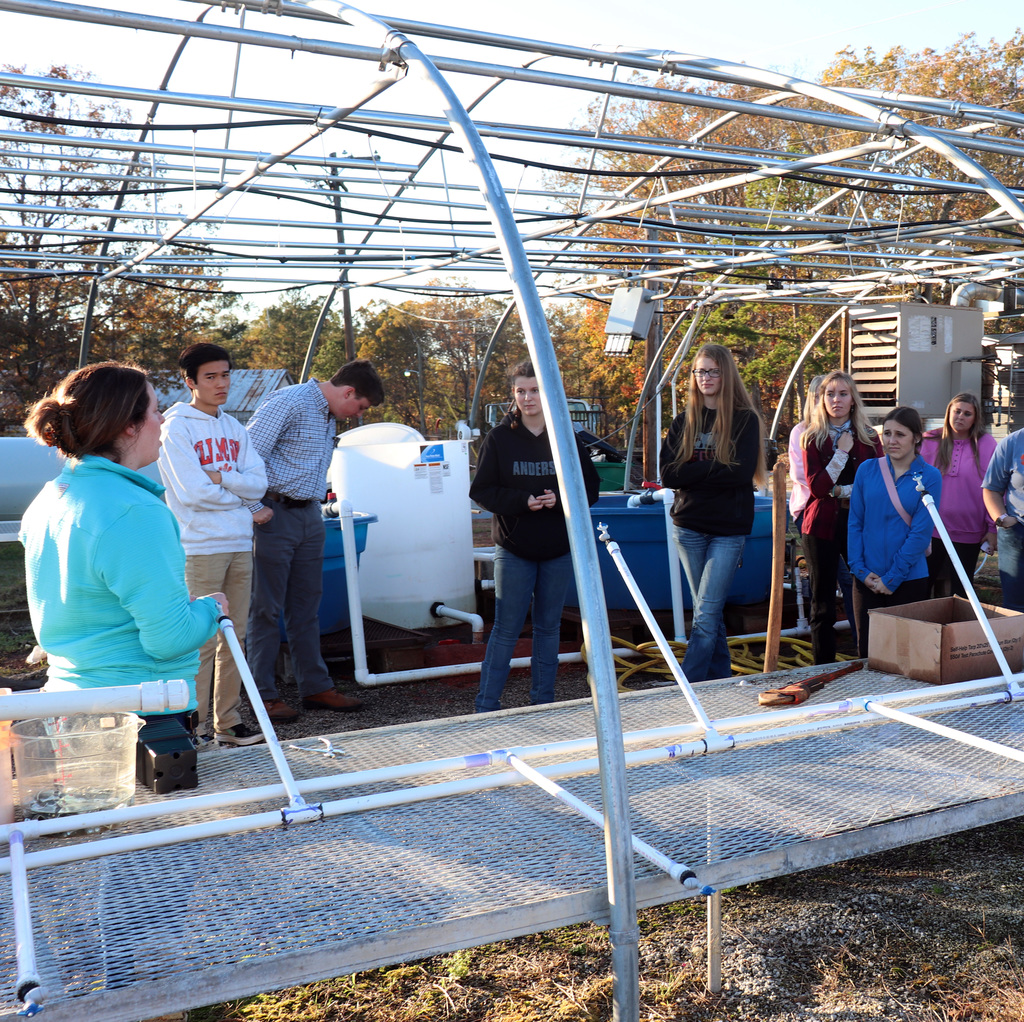 Mrs. Rhodes takes the Clemson students into the storm-ravaged old greenhouse.