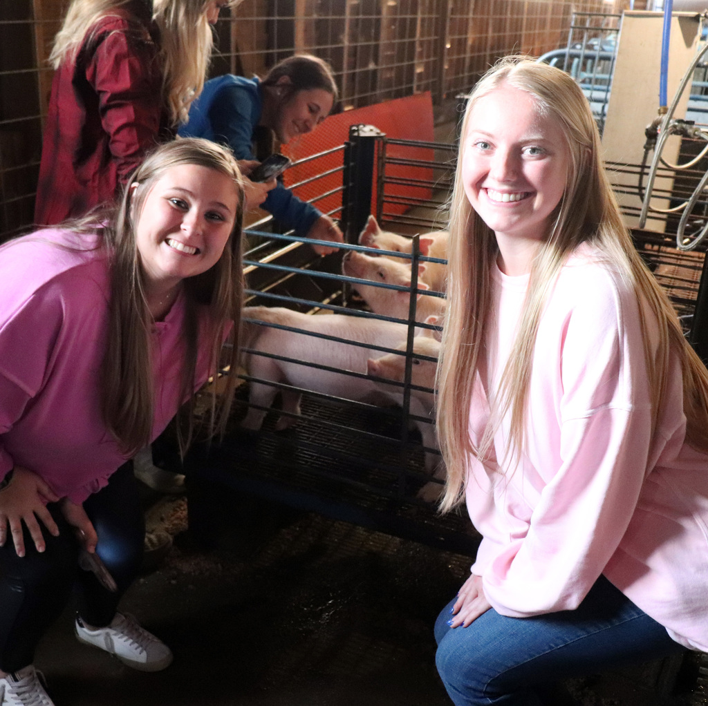 Our resident piglets received a lot of attention from the visiting Clemson students.