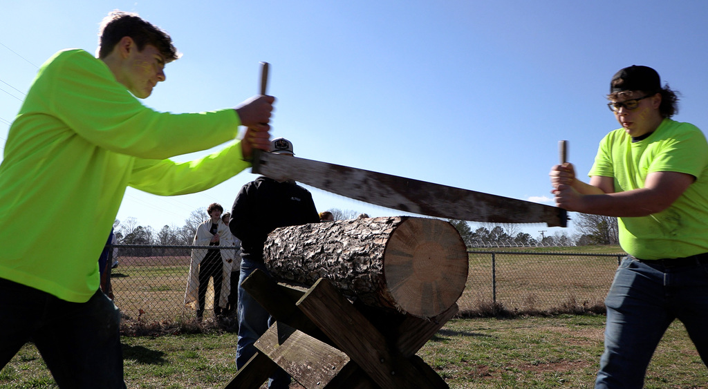The yellow starts slicing through the log during the Ag Olympics.