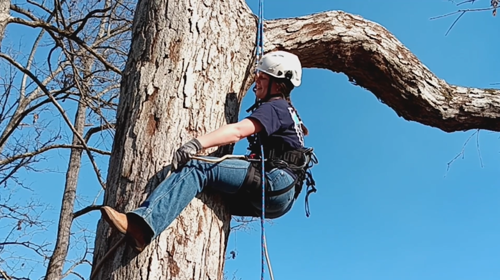 Makayla Clark climbs a tree as part of Mr. Morton's class.