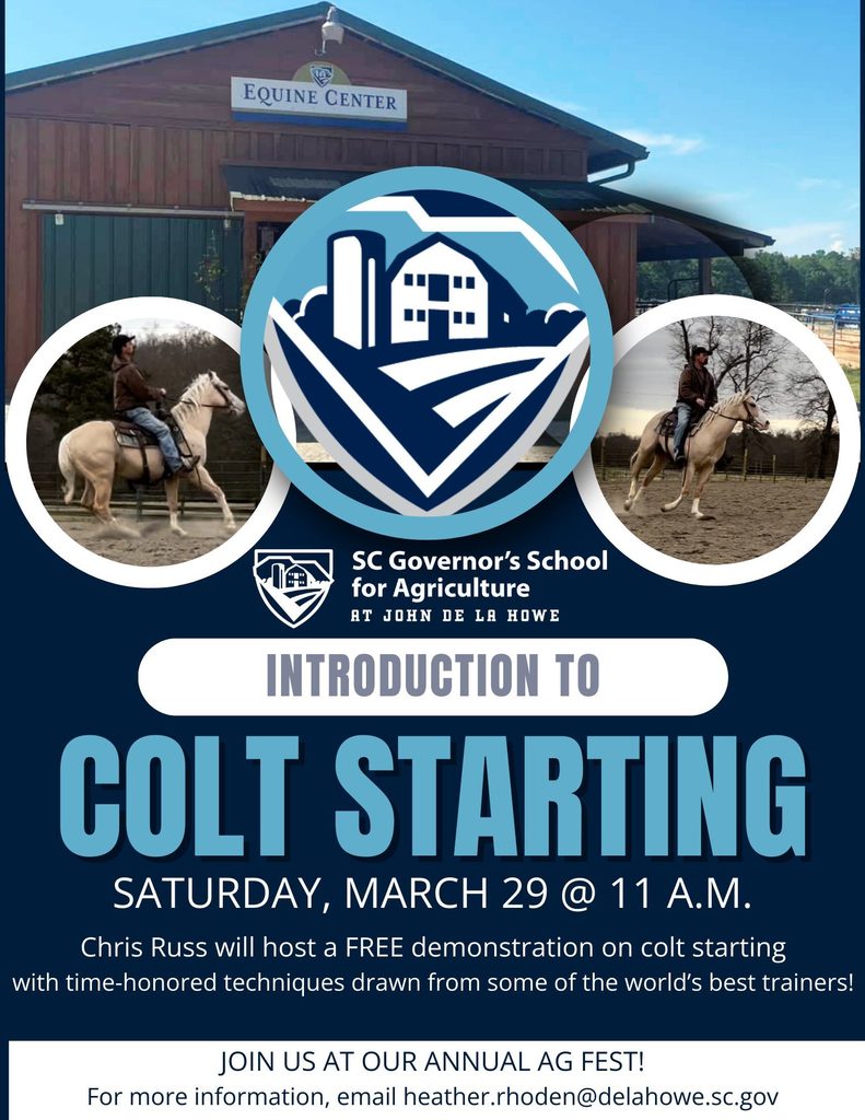 Colt Starting Demo