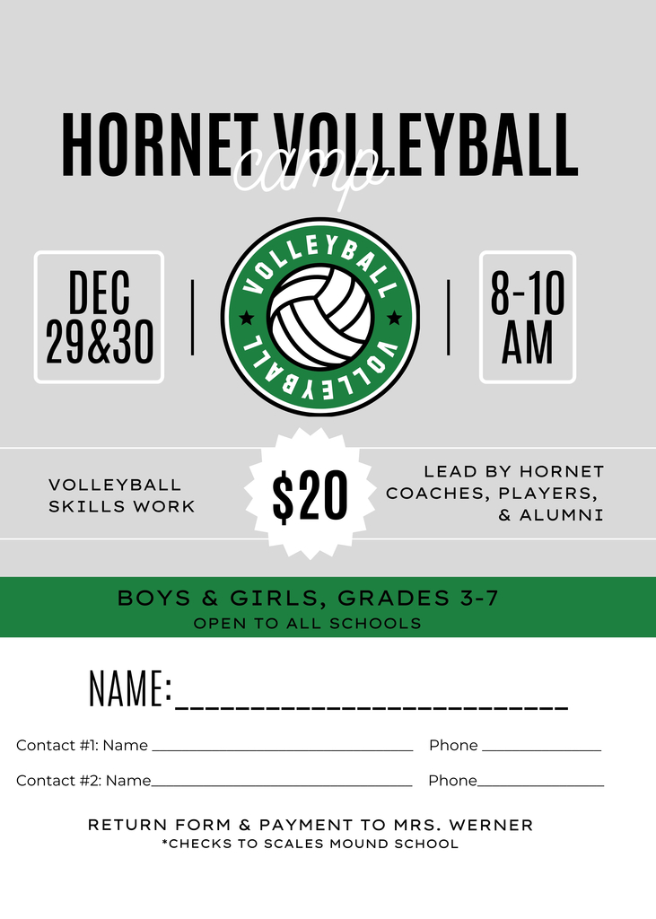 Hornet Volleyball Camp