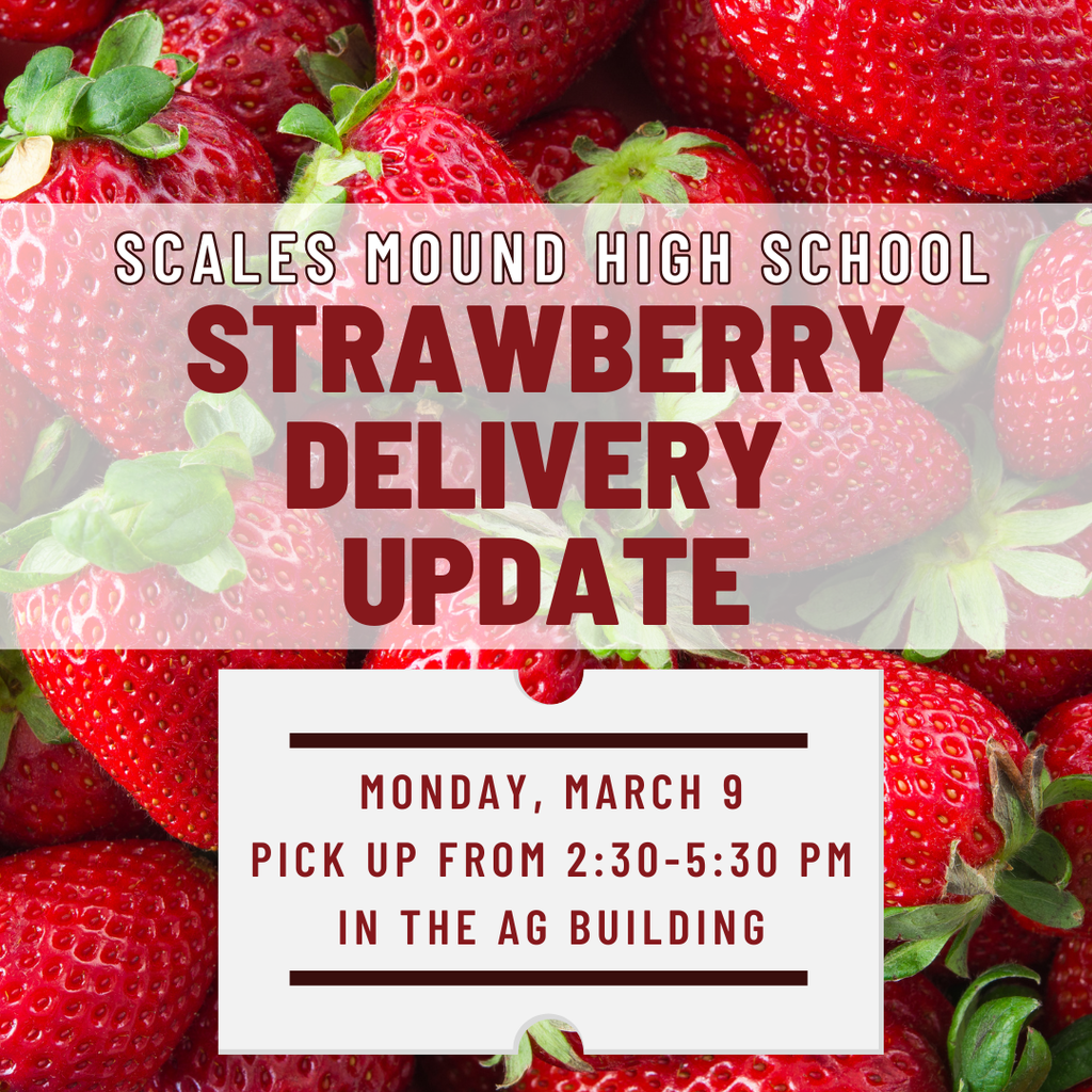 Strawberry Delivery Update