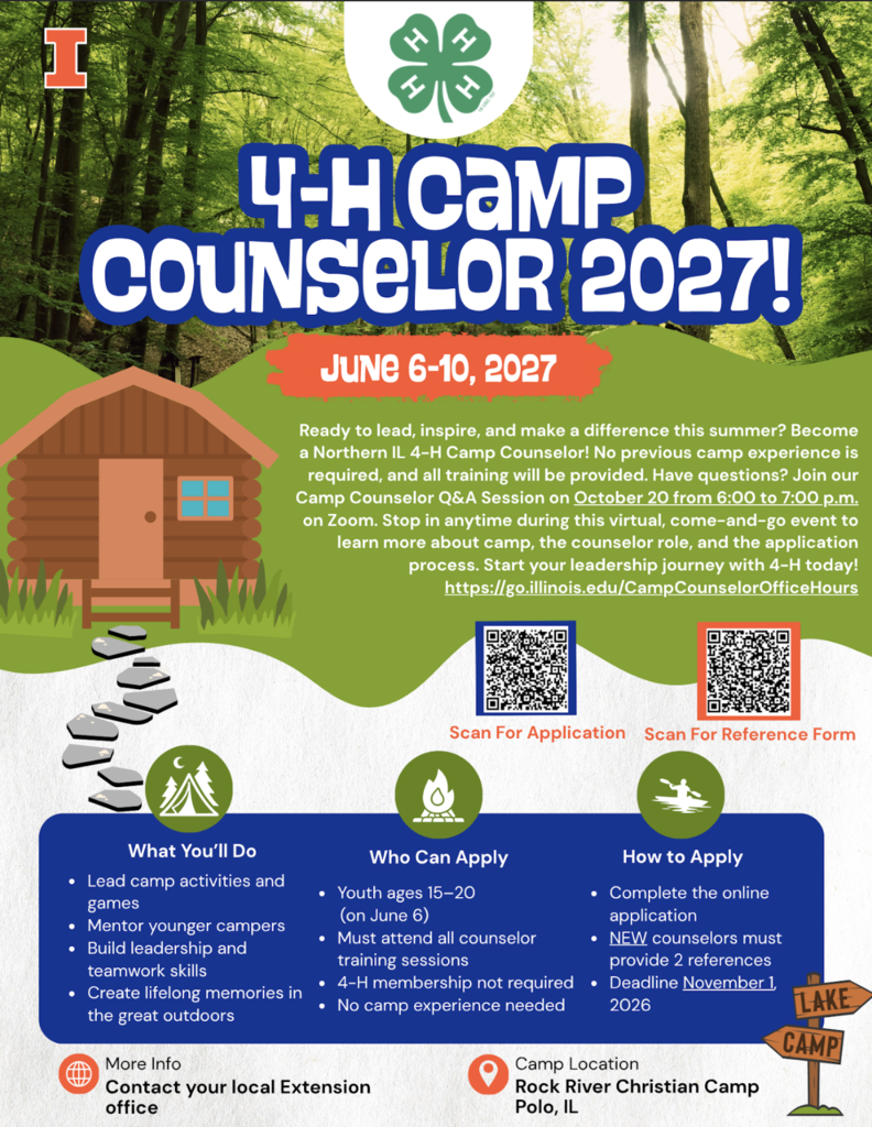 4H Camp Counselor