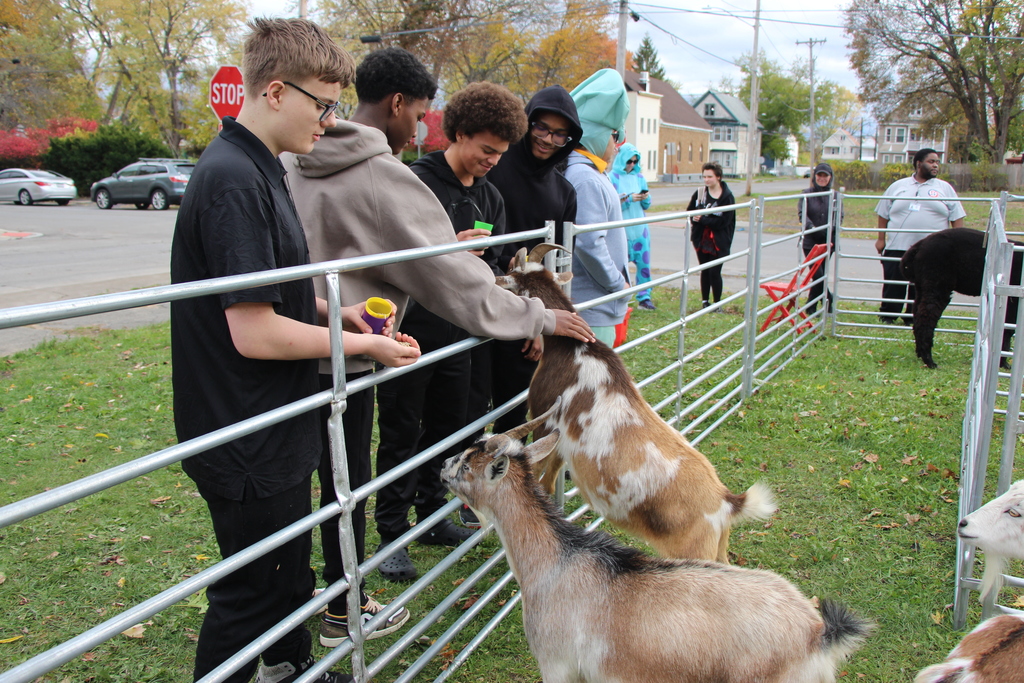 BPL Petting Zoo