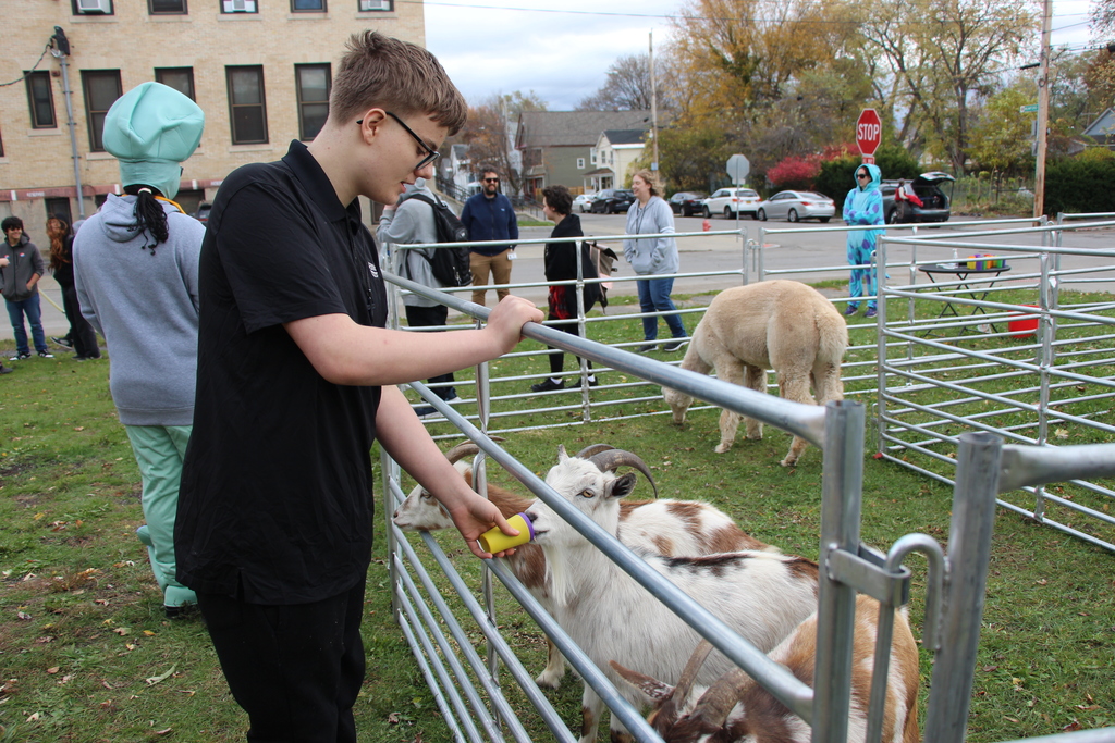 BPL Petting Zoo