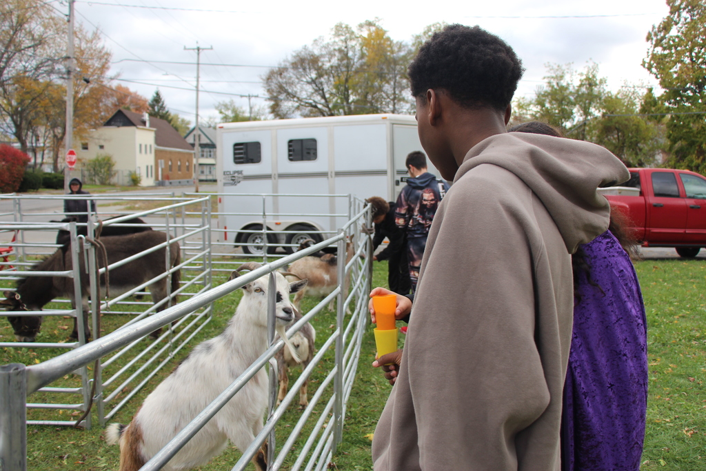 BPL Petting Zoo