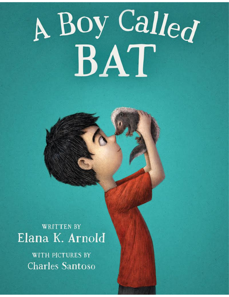A Boy Called Bat