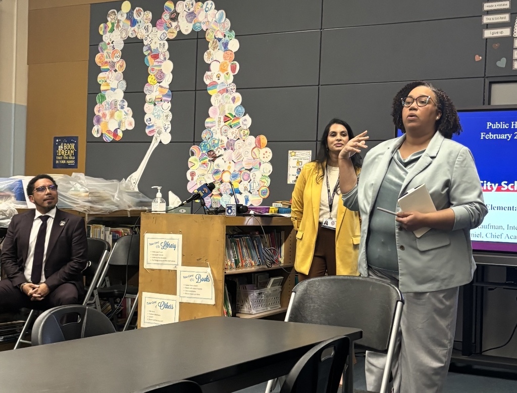 Photo from Lincoln Receivership Public Hearing