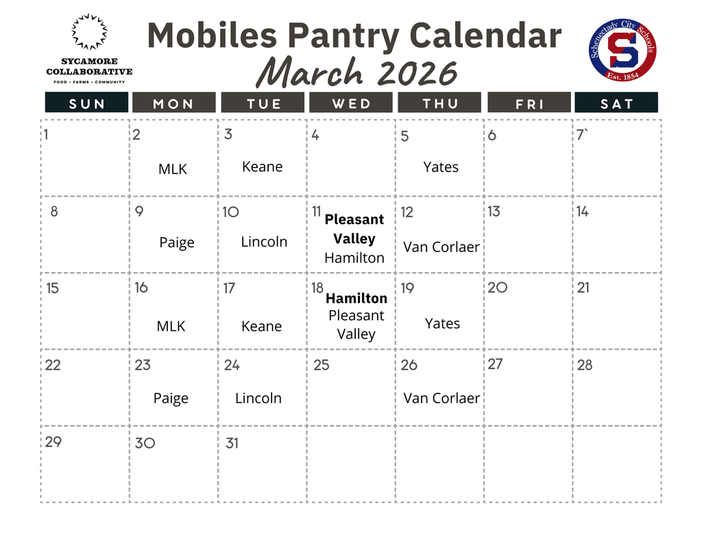 Moible Pantry
