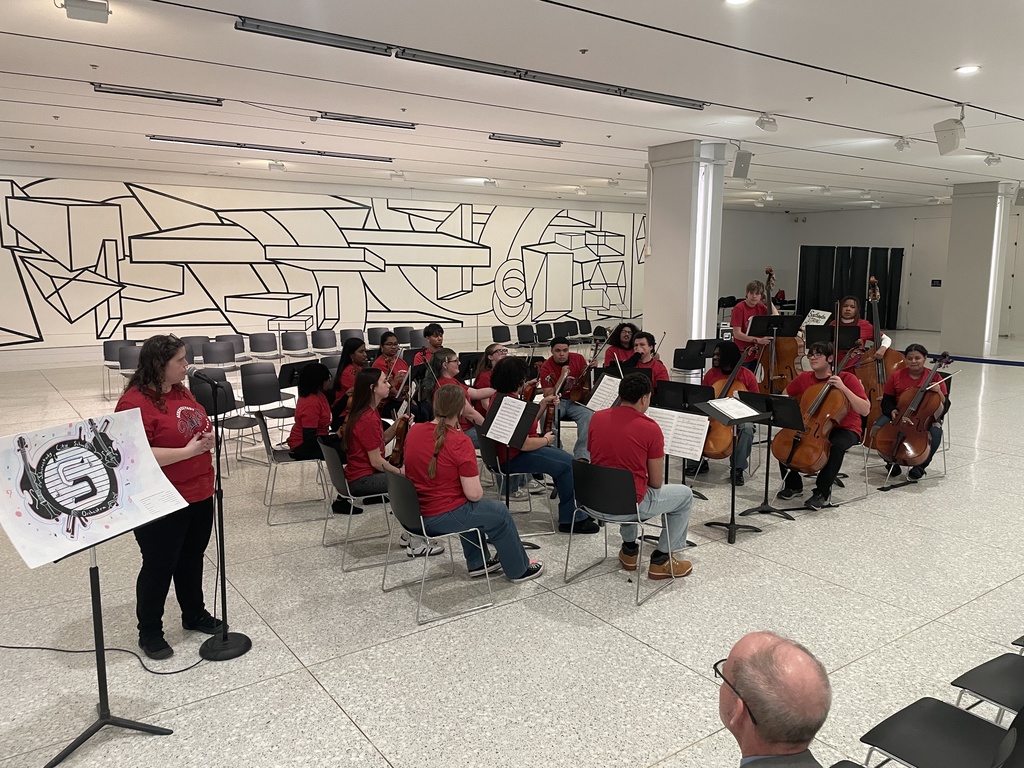 SHS Chamber Orchestra