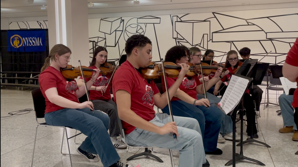 SHS Chamber Orchestra 