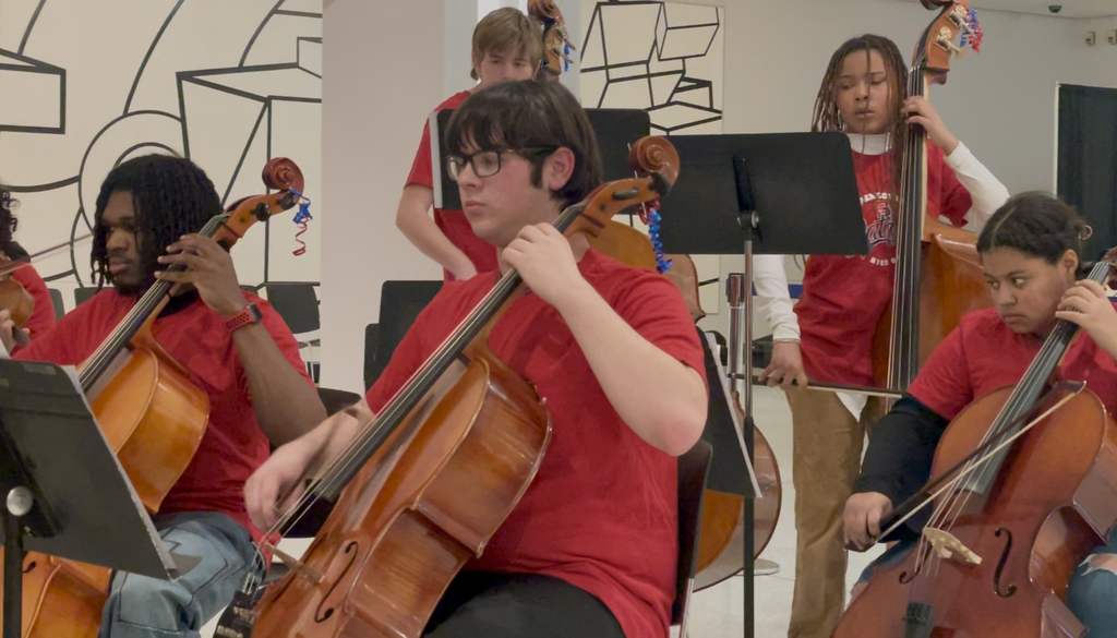 SHS Chamber Orchestra 