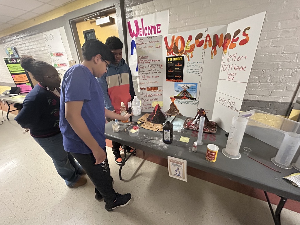 Photo from the Oneida Science Fair