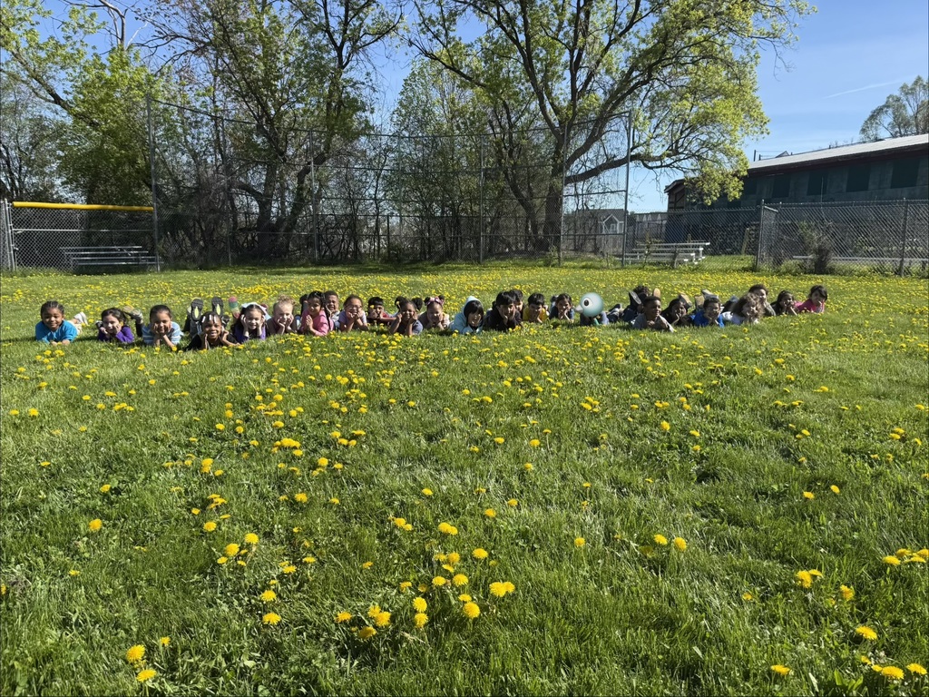 Yates Pre K Dandelion