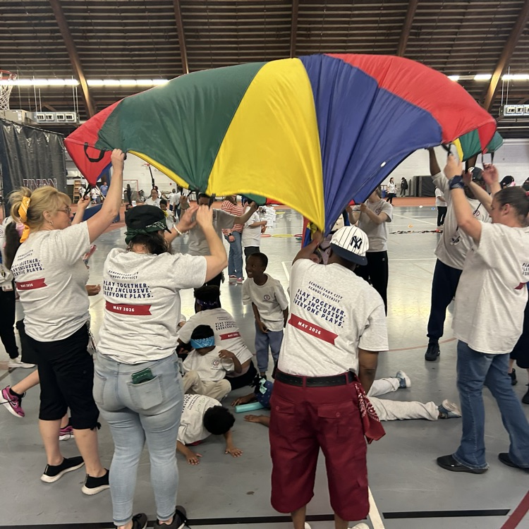 adaptive PE parachute