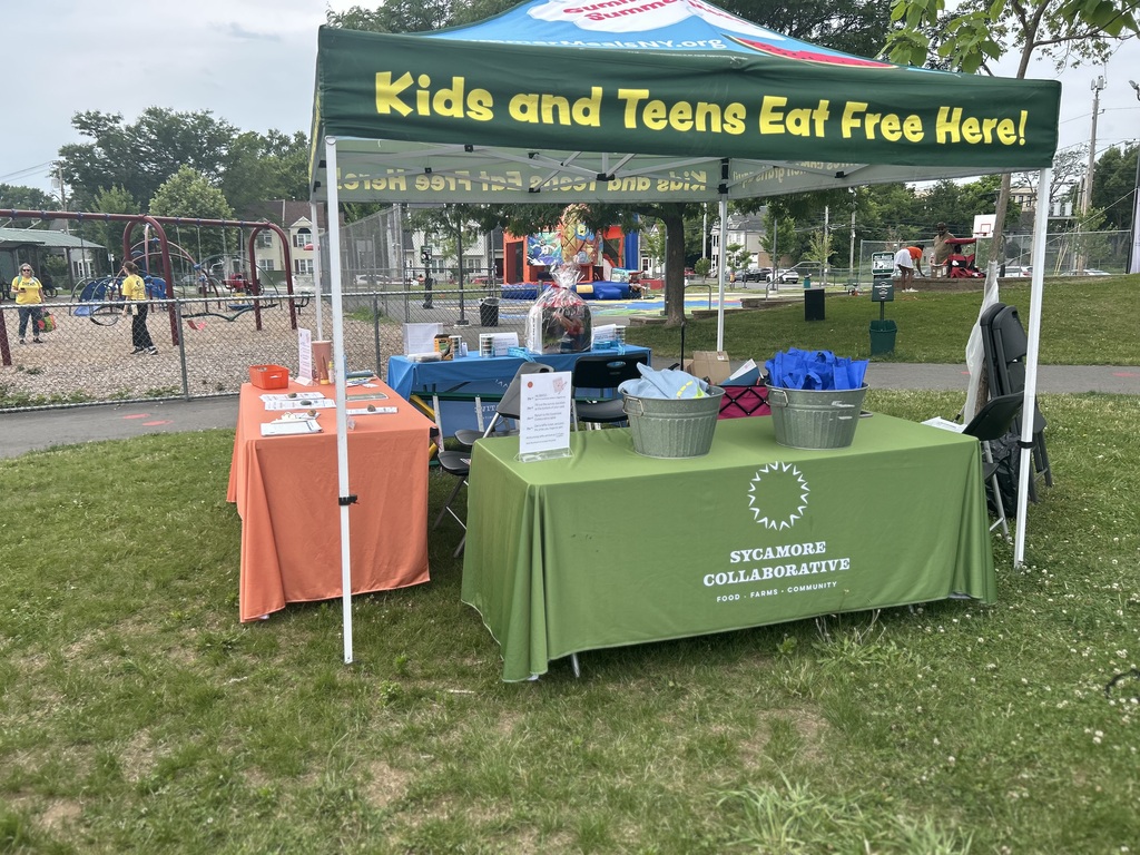 summer meals block party