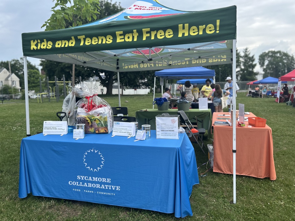 summer meals block party
