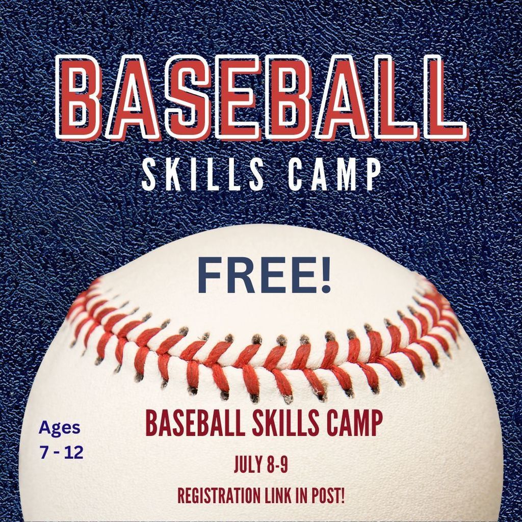 Baseball Skills Camp