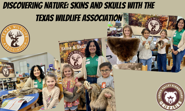 Skins and Skulls with Texas Wildlife Association