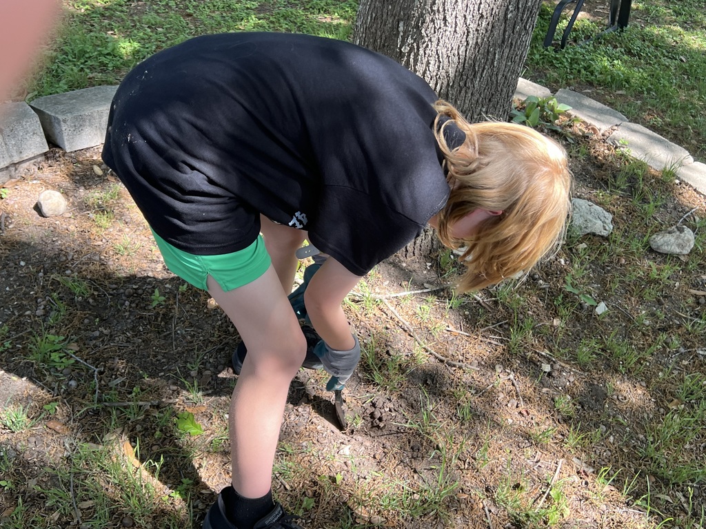 Digging for fresh soil.