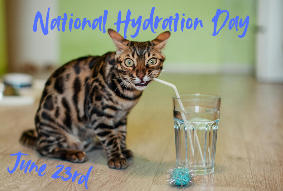 National Hydration Day - June 23rd