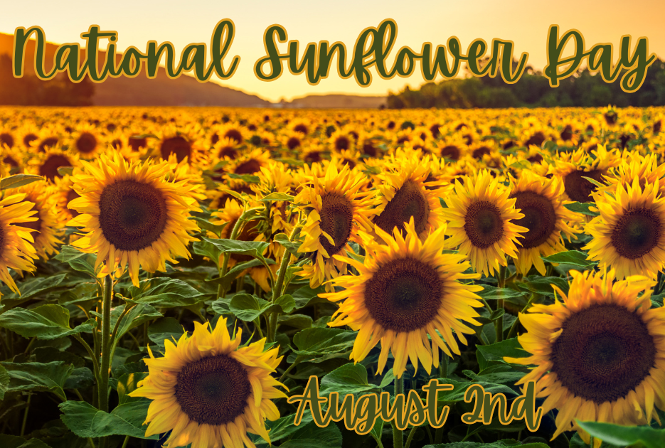 National Sunflower Day - August 2nd