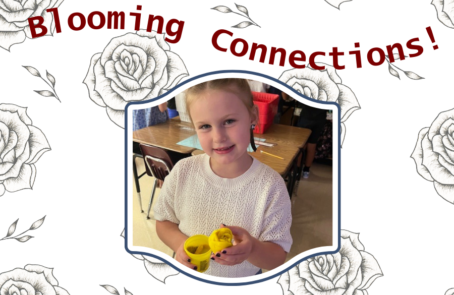 Blooming Connections in 3rd Grade